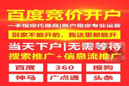 成功SEM托管案例：流量与转化双赢