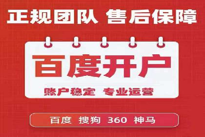 成功案例：sem竞价托管的智慧与策略